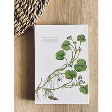 Calperia Özel Tasarım A5 Çizgili Not Defteri, Dikişli Sırt ve 180 Derece Açılabilir