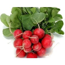 Calperia Doğal Cherry Turp Tohumu - 10 Adet