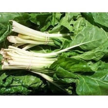 Calperia Doğal Pazı Tohumu - Sağlıklı ve Lezzetli Sebzeler Için