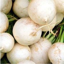 Calperia Turp Beyaz Kız Tohumu - 10 Gram