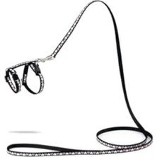 Calperia Siyah Yavru Kedi Göğüs Tasması ve 120 cm Gezdirme Kayışı