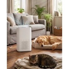 Zenvia ARP002 Hava Temizleyici