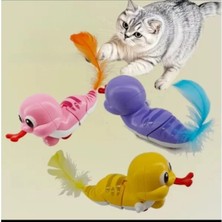 Calperia Zeka Geliştirici Kurmalı Salyangoz Kedi Oyuncağı - Hareketli ve Eğlenceli (Mor)