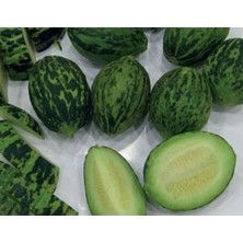 Calperia Doğal Kavun Tohumu - Turşuluk Çeşidi