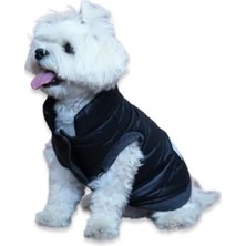 Calperia Su Geçirmez Kapitone Köpek Montu - Siyah (Medium)