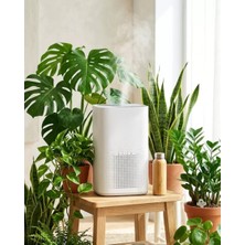 Zenvia Hava Temizleyici 3 Aşamalı Filtre Sistemi ve Düşük Gürültü Özellikli