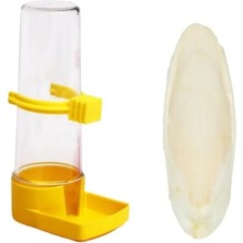 Calperia Muhabbet Kuşu Suluğu ve Küçük Boy Kalamar Kemiği