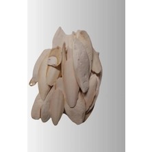 Calperia 250 Gram Mürekkep Balığı ve Kalamar Kemiği, Doğal Atıştırmalık