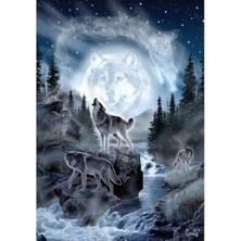 Calperia Ayışığı Temalı 500 Parça Puzzle - Kayıp Parça Desteği