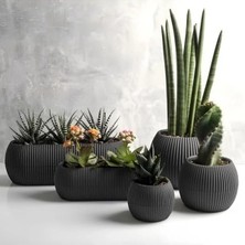 Calperia 5 Adet Mercan Saksı Seti, Gri Renkli ve Şık Tasarım