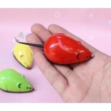 Calperia Renkli Çek Bırak Fare Kedi Oyuncağı - Aktif Oyun Için Ideal