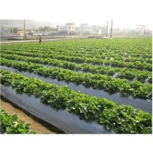 Calperia 100 Metre Eni 120 cm Siyah Sebze Naylonu, Malç Örtüsü