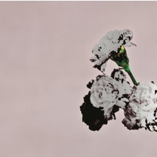 SoundBox John Legend - Love In The Future (Specıal Edıtıon) - 1 CD ( Plak Değildir, CD Dir)