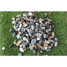 Calperia 4 kg Dere Çakıl Taşı, 15-30 mm Mıcır, Peyzaj ve Akvaryum Için