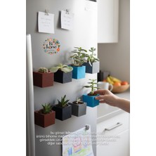 Mini Saksı Canlı Çiçek Magnet – 3D Baskı Dekoratif Sukulent & Kaktüs Saksısı (Renk Karışık)