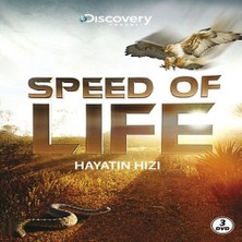 Nerm Speed Of Life - Hayatın Hızı