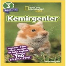 Bilfold Kemirgenler