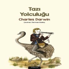 Bilfold Tazı Yolculuğu