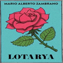 Bilfold Lotarya