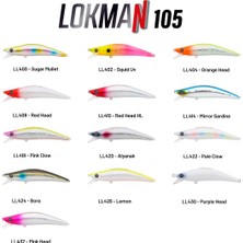 Han Fishing Hanfish Lokman 105 10,5 cm 15,5 gr Floating Maket Balık Yem