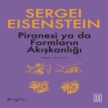 TeknoKapsül Piranesi Ya Da Formların Akışkanlığı