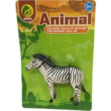 Pileli Store Bma-1-2-3-4 Kartelada Tekli Vahşi Hayvanlar