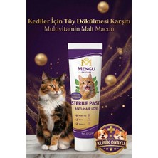 Tüy Dökülme Engelleyici, Tüy Yumağı ve Kusma Önleyici Multivitamin Kedi Malt Macun 100 gr - 3 Lü Set