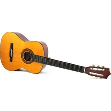 Dmx Guitars CCG700