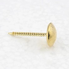 Hayat Store Sarı Saraciye, Deri Tırtıklı Kabara 9,5 mm - 1000