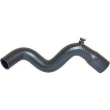 Gutsy Renault Hortum R21-CONCORDE Rad. Ust  (T81186)