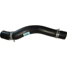 Gutsy Hyundaı Kıa I20-Bayon Radyator Su Hortumu