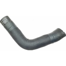 Gutsy Maseratı Turbo Hortumu