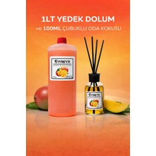 Freyr Mango Kavun Çubuklu Oda Kokusu 100 ml + 1 Litre Yedek Dolum Refill | Ev & Ofis Ortam Kokusu