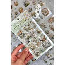 Esranın Dünyası 80 Adet Şeffaf Papatya Sticker Seti, Bullet Journal Için Uygun