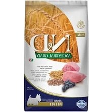 Esranın Dünyası Düşük Tahıllı Yetişkin Köpek Maması, 2,5 kg Kuzu Etli