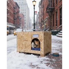 Esranın Dünyası Dış Mekan Kullanımına Uygun Ahşap Kedi Evi Minderli 61X41X36 cm