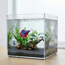 Esranın Dünyası 20X20X20 cm Kristal Nano Akvaryum - Karides ve Balık Için