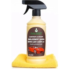 Esranın Dünyası Araç Temizleyici Parlatıcı, 500 Ml, Boyalı ve Plastik Alanlar Için