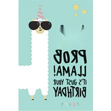 Esranın Dünyası Kullanım Kolaylığı Sunan No Problema Kartı - 11,5X17 cm