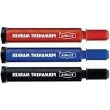 Esranın Dünyası Yuvarlak Uçlu Koli Kalemi 3'lü Set Renkli