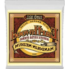 Esranın Dünyası Akustik Gitar Telleri - 80/20 Bronz Orta Döngü