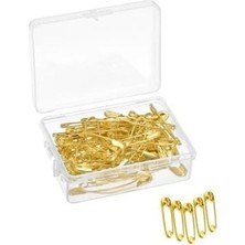 Esranın Dünyası Benim Marifetlerim - Küçük Altın Çengelli Iğne