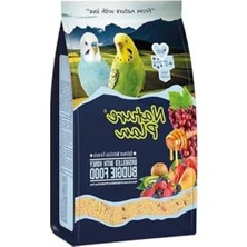 Esranın Dünyası 400GR X5 Adet Ballı Meyveli Kabuksuz Muhabbet Kuşyemi