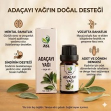 ASL Adaçayı Acı Elma Yağı 10 ML