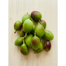 Nektarin Çağlası 1 kg Taze Hasat