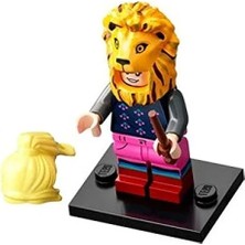 Esranın Dünyası Harry Potter Temalı Koleksiyon Figürü - Luna Lovegood