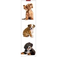 Esranın Dünyası Öğrenme Sürecine Yardımcı Tasarım - Dogs Kitabı