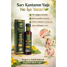 ASL Sarı Kantaron Yağı (St. John's Wort Oil) 250 ml | İçilebilir | Cam Şişe