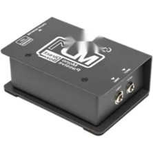 Esranın Dünyası Pasif Mono Doğrudan Kutu