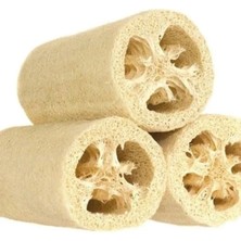 Esranın Dünyası Lif Kabak Tohumu (Çoklu Paket) - 10 Adet